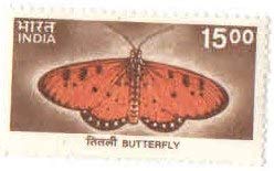 India 2000 9TH Definitive Series Butterfly Stamp Mint Non HINGED