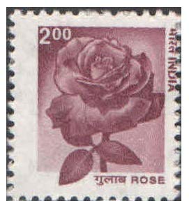 India 2000 9th Definitive Series - Rose Postage Stamp Mint Unhinged