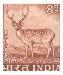 India 1965-1975 4th Definitive Series - Chital (8P) Stamp (Rare Stamp) MNH
