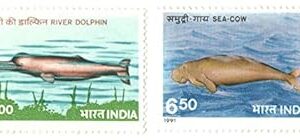 India 1991 Postage - Endangered Marine Mammals - River Dolphin & Sea Cow - Set of 2 Postage Stamps Mint Never Hinged