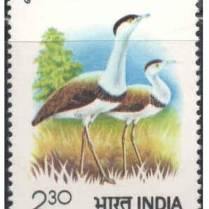India 1980 Great Indian Bustard ( Hukna ) Postage Stamp Mint Unhinged