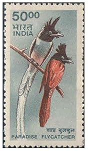 India 2000 9th Definitive Series - Paradise Flycatcher Postage Stamp Mint Unhinged