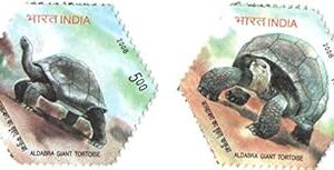India 2008 Aldabra Giant Tortoise Set of 2 Hexagobal Stamps Mint Unhinged