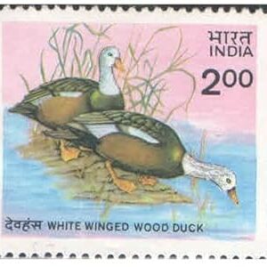 India 1985 Wildlife Conservation - White Winged Wood Duck Postage Stamp Mint Unhinged