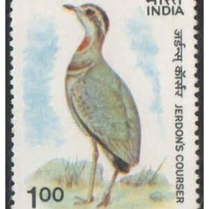 India 1988 Wild Life Week Jerdon's Courser Bird Postage Stamp Mint Unhinged