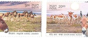 India 2013 Wild Ass Set of Two Stamps - Kiang LADAKH and GHOR KHAR Kutch MNH
