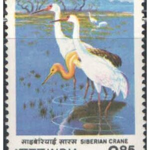 India 1983 Siberian Crane -International Crane Workshop Bharatpur - Postage Stamp Mint Unhinged
