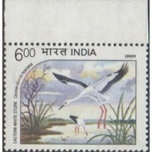 India 1994 Endangered Water Birds (Withdrawn Issue) - Eastern White Stork - Mint Unhinged Postage Stamp for Collection, Multicolor