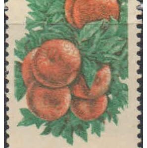 India Postage 1982 - 6th Definitive Series - Apples 325P Postage Stamp Mint Never Hinged