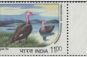 India 1994 Endangered Water Birds (Withdrawn Issue) - Pinkheaded Duck - Mint Unhinged Postage Stamp for Collection, Multicolor