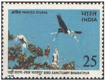 India 1976 Keoladeo Ghana Bird Sanctuary Bharatpur - Painted Storks Postage Stamp Mint Unhinged