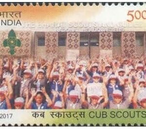 India 2017 Cub Scouts Postage Stamp Mint Unhinged Multicolor
