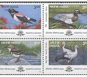 India 2000 Indepex Asiana 2000 Migratory Birds ( Rosy Pastor - Garganey Teal - Forest Wagtail - White Stork ) Se-Tenant Block of 4 Postage Stamps Mint Unhinged