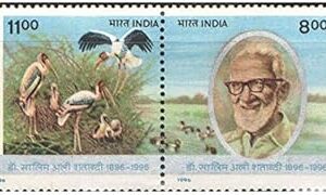 India 1996 Dr. salim ali Centenary ( Ornithologist Ecologist ) Storks at Nest in Bharatpur Bird Sanctuary Se-Tenant Pair of Postage Stamps Mint Unhinged