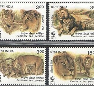 India 1999 Endangered Species - Asiatic Lion (Panthera Leo persica) Set of 4 Stamps Mint Unhinged