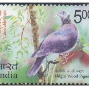 India 2017 Vulnerable Birds - Set of 3 Postage Stamps Mint Unhinged