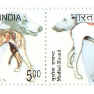 India Postage 2005 Breeds of Dogs in India Se-Tenant of 4 Postage Stamps Mint Never Hinged