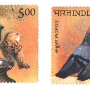 India 2010 Postage - Pigeon & Sparrow - Set of 2 Stamps Mint Never Hinged