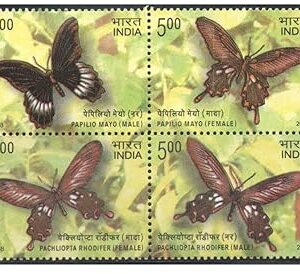 India 2008 Endemic Butterflies of Andaman & Nicobar Islands - Se-Tenant Block of 4 Postage Stamps Mint Never Hinged