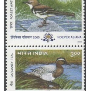 India 2000 Indepex Asiana 2000 Migratory Birds ( Rosy Pastor - Garganey Teal - Forest Wagtail - White Stork ) Vertical Se-Tenant Strip of 4 Postage Stamps Mint Never hinged