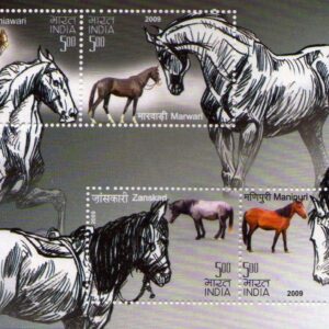 India 2009 Breeds of Horses of India MS Miniature Sheet Mint UNHINGED