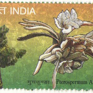 India 2009 PTEROSPERMUM ACERIFOLIUM ( Muchkunda - Bayur Tree ) Stamp Mint Unhinged