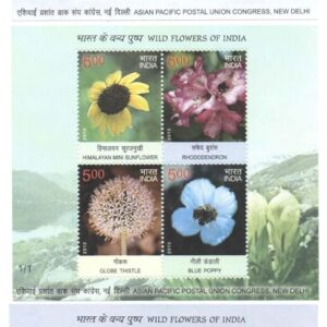 India 2013 Wild Flowers of India - Set of 3 Miniature Sheets (MS) containing 12 Postage Stamps, Multicolor
