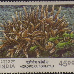 India 2001 Corals of India ACROPORA Formosa Stamp Mint Unhinged