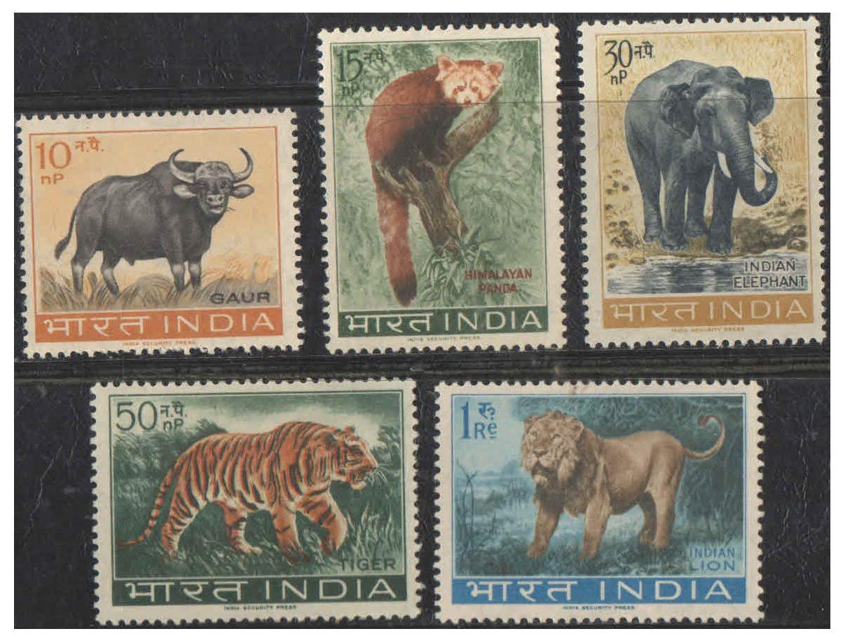 India 1963 Wildlife (Wild Life) Preservation (Gaur - Himalayan Panda - Elephant - Tiger - Lion) Set of 5 Postage Stamps Mint Unhinged