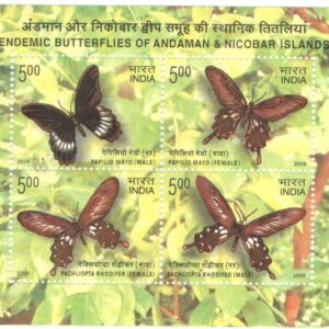 India 2008 Endemic Butterflies of Andaman & Nicobar Islands - Miniature Sheet MS of 4 Postage Stamps Mint Never Hinged