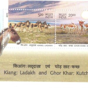 India 2013 Wild Ass Kiang LADAKH and GHOR KHAR Kutch Stamp MS Miniature Sheet Mint Unhinged