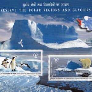 India 2009 Preserve The Polar Regions and Glaciers MS Miniature Sheet Mint UNHINGED