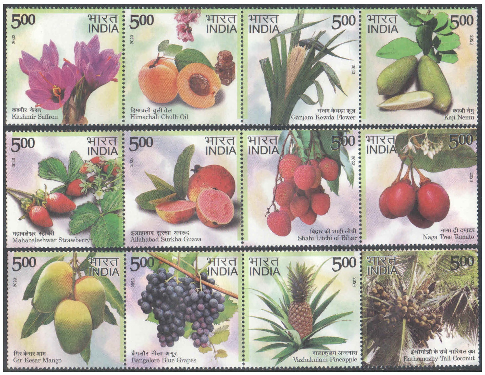 India 2023 Geographical Indications - Agricultural Goods - Set 3 Se-tenant Strips -12 MNH Postage Stamps