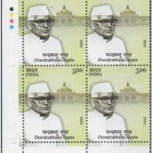 India 2025 - 5th Battalion, The Rajput Regiment - Block of 4 Postage Stamps with Traffic Lights (TL) - MNH for collection – image 13