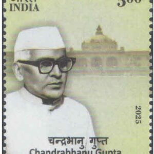 India 2025 - 5th Battalion, The Rajput Regiment - Postage Stamp MNH for collection – image 18