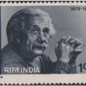India 1979 Albert Einstein ( Physicist ) - Postage Stamp MNH