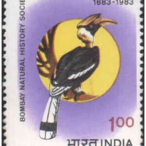 India 1983 Centenary of Bombay Natural History Society ( Great Indian Hornbill ) - Postage Stamp MNH