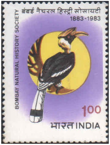 India 1983 Centenary of Bombay Natural History Society ( Great Indian Hornbill ) - Postage Stamp MNH