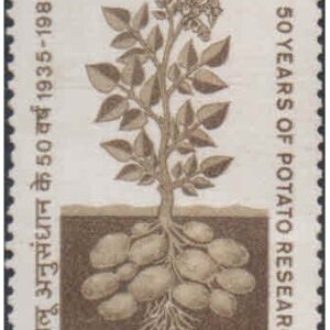 India 1985 - 50th Anniversary of Potato Research in India - Postage Stamp MNH