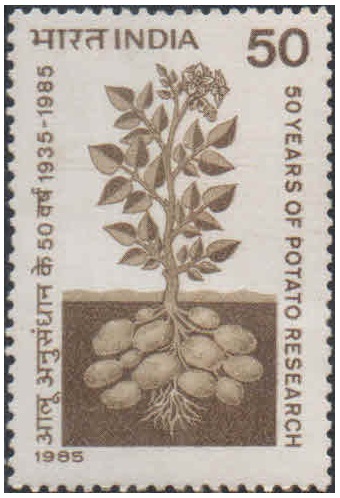 India 1985 - 50th Anniversary of Potato Research in India - Postage Stamp MNH
