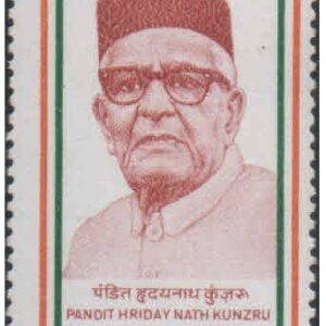India 1987 India's Struggle For freedom 6th series - Pandit Hriday Nath Kunzru - Postage Stamp MNH (Brown gum or gum-stained)