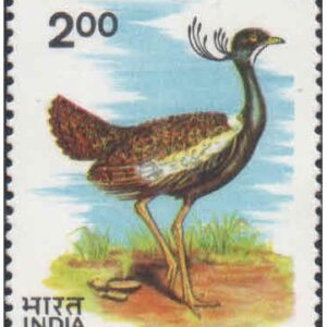 India 1989 Wildlife - Likh Florican - Postage Stamp MNH