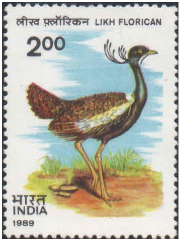 India 1989 Wildlife - Likh Florican - Postage Stamp MNH