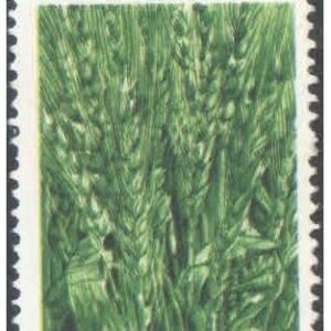 India 1990 Indian Council of Agricultural Research Postage Stamp MNH