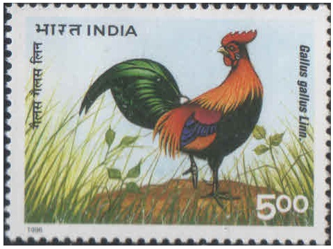 India 1996 20th World Poultry Congress - Gallus Gallus Linn - Postage Stamp MNH