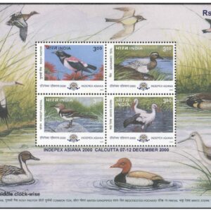 India 2000 Indepex Asiana 2000 Migratory Birds ( Rosy Pastor - Garganey Teal - Forest Wagtail - White Stork ) Miniature Sheet MS Mint Unhinged