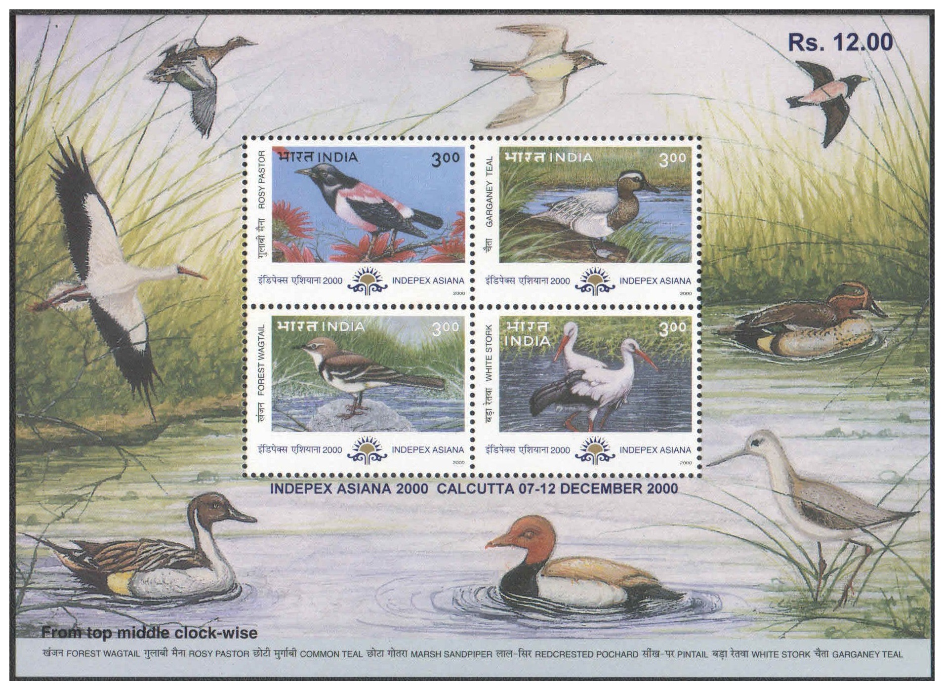 India 2000 Indepex Asiana 2000 Migratory Birds ( Rosy Pastor - Garganey Teal - Forest Wagtail - White Stork ) Miniature Sheet MS Mint Unhinged